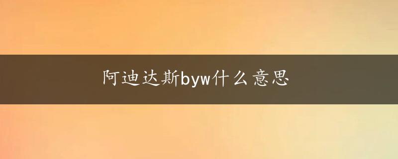 阿迪达斯byw什么意思