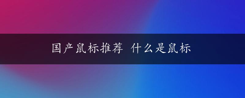 国产鼠标推荐 什么是鼠标