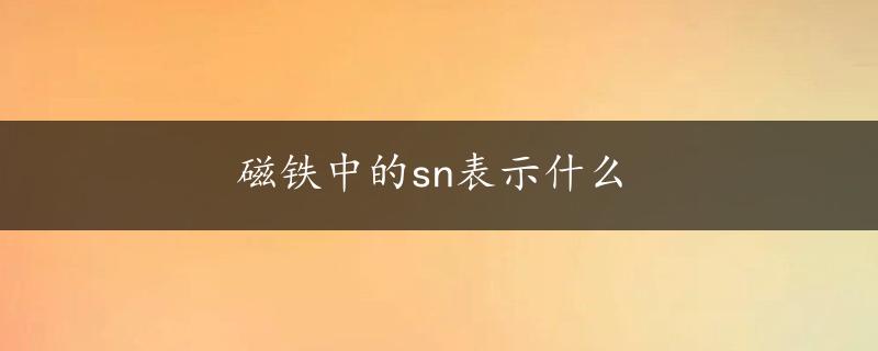 磁铁中的sn表示什么