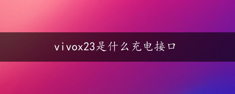 vivox23是什么充电接口