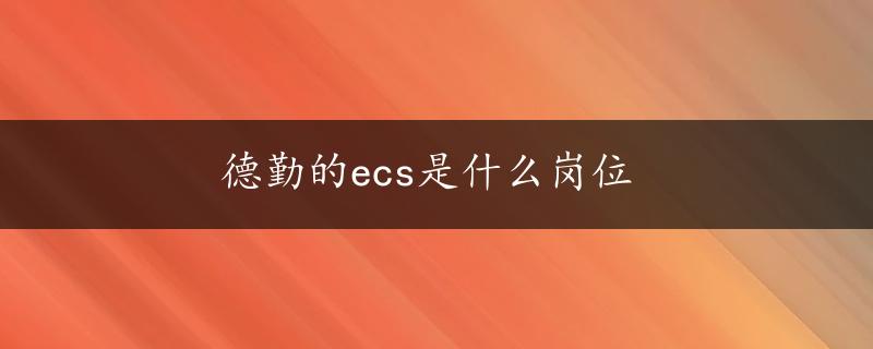 德勤的ecs是什么岗位