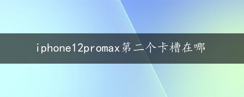 iphone12promax第二个卡槽在哪