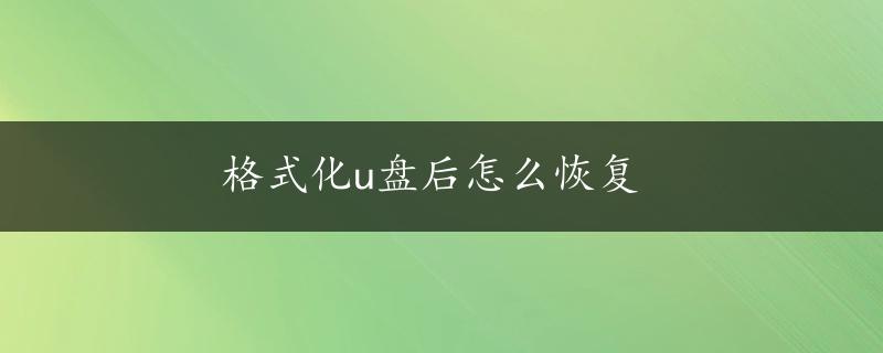 格式化u盘后怎么恢复