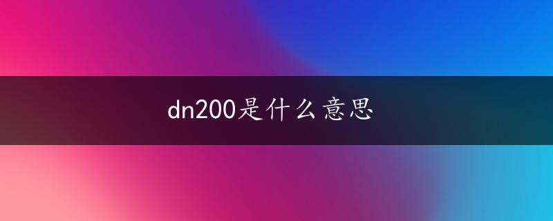 dn200是什么意思