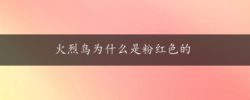 火烈鸟为什么是粉红色的