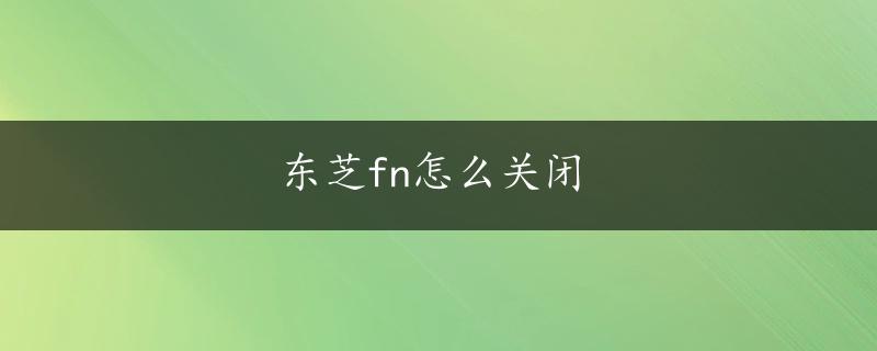 东芝fn怎么关闭