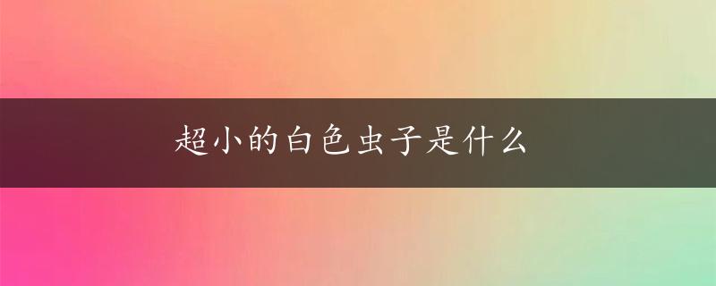 超小的白色虫子是什么