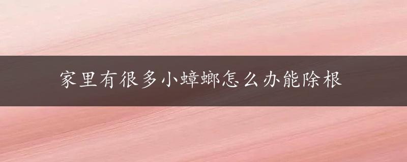 家里有很多小蟑螂怎么办能除根