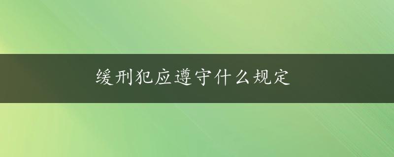 缓刑犯应遵守什么规定