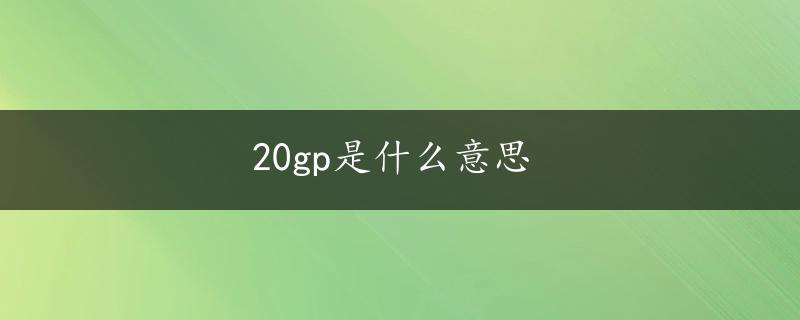 20gp是什么意思