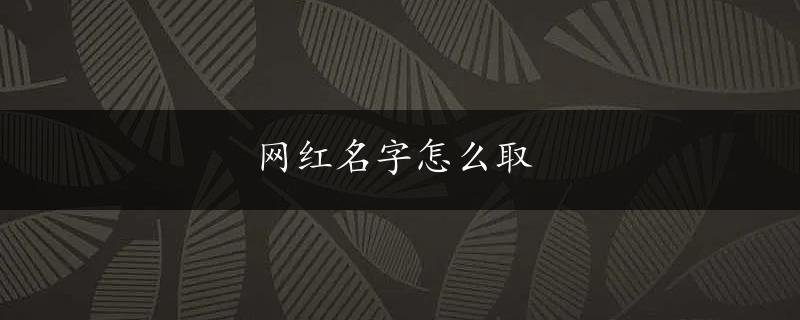 网红名字怎么取