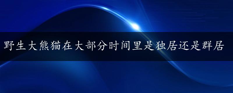 野生大熊猫在大部分时间里是独居还是群居