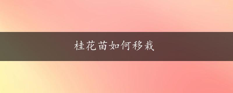 桂花苗如何移栽