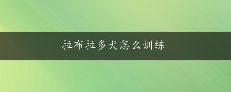 拉布拉多犬怎么训练