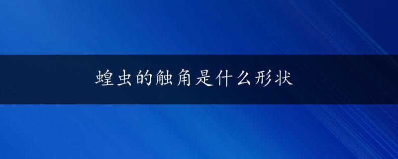 蝗虫的触角是什么形状