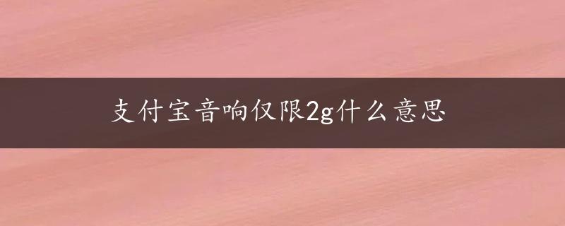 支付宝音响仅限2g什么意思