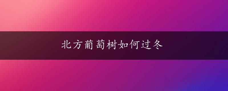 北方葡萄树如何过冬