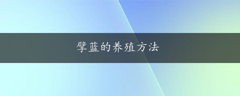 擘蓝的养殖方法