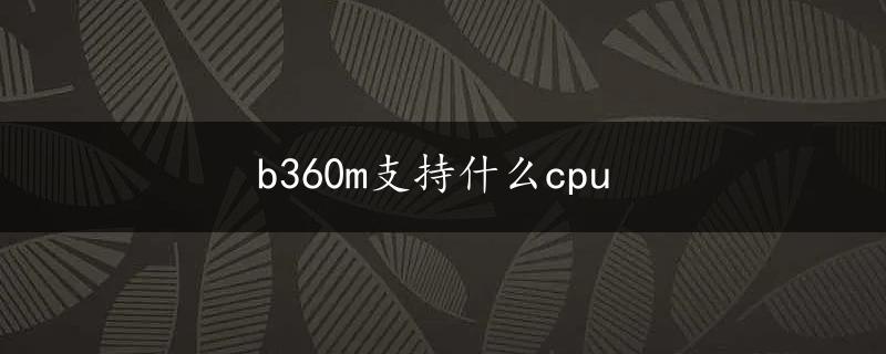 b360m支持什么cpu