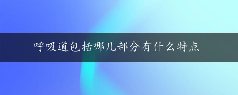 呼吸道包括哪几部分有什么特点