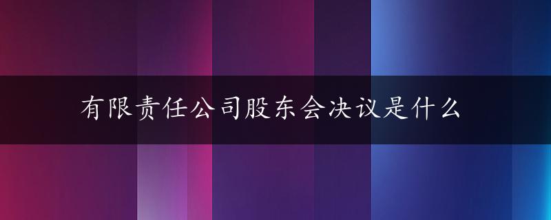 有限责任公司股东会决议是什么