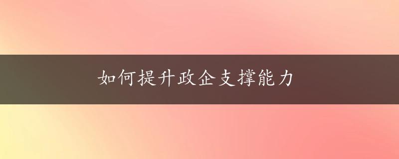 如何提升政企支撑能力