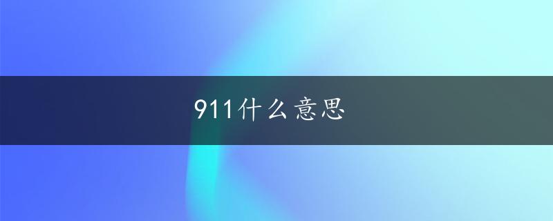 911什么意思