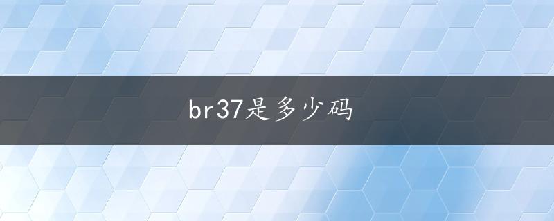 br37是多少码