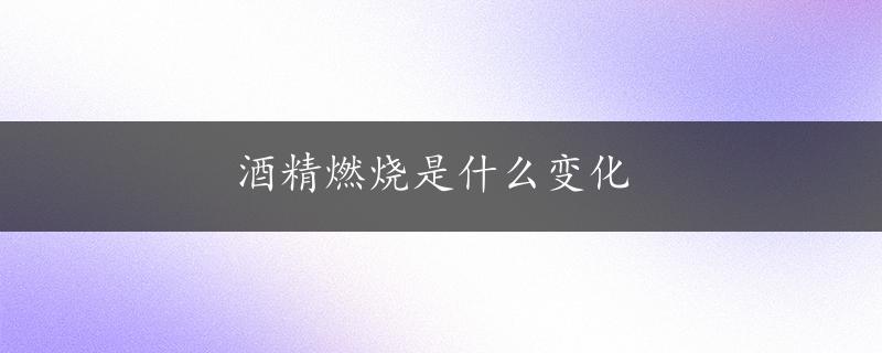 酒精燃烧是什么变化