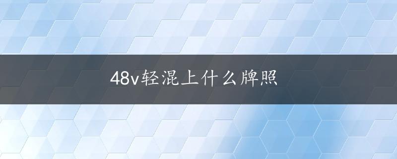 48v轻混上什么牌照