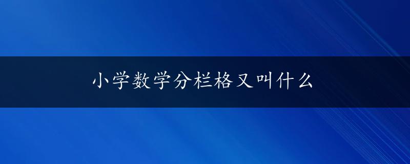 小学数学分栏格又叫什么