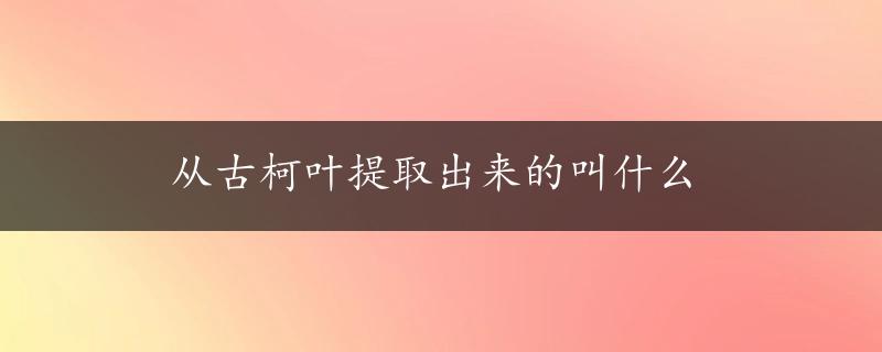 从古柯叶提取出来的叫什么