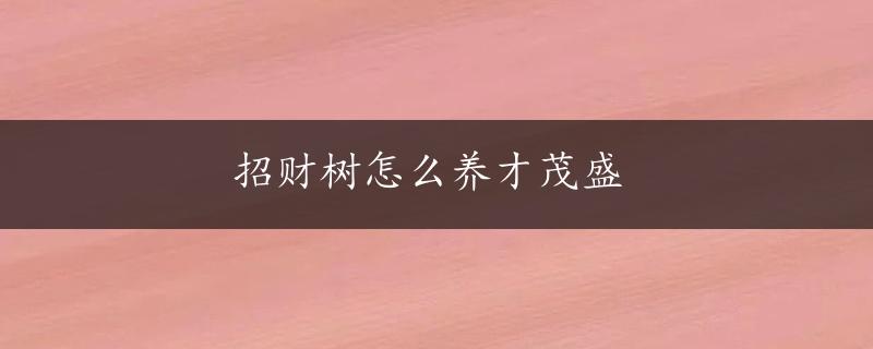 招财树怎么养才茂盛