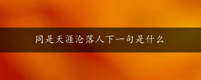 同是天涯沦落人下一句是什么