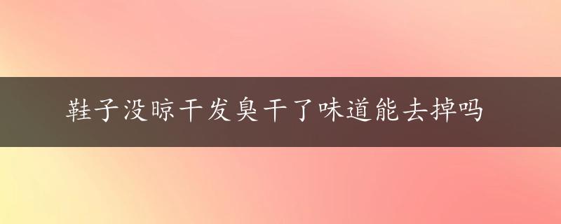 鞋子没晾干发臭干了味道能去掉吗