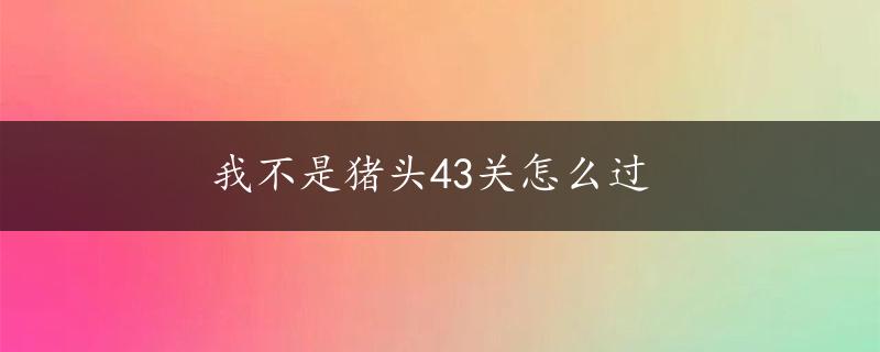 我不是猪头43关怎么过