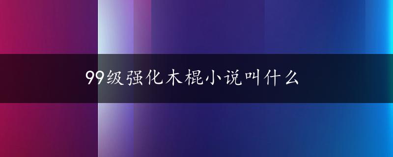 99级强化木棍小说叫什么