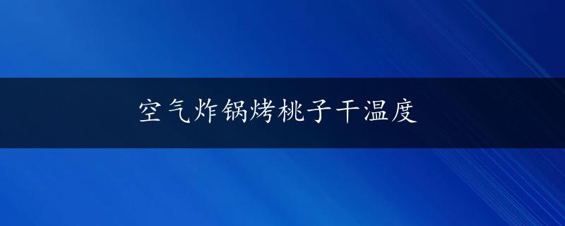 空气炸锅烤桃子干温度