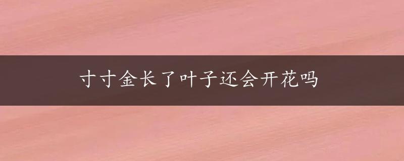 寸寸金长了叶子还会开花吗