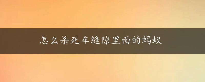 怎么杀死车缝隙里面的蚂蚁