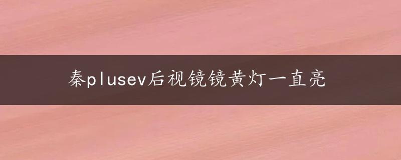 秦plusev后视镜镜黄灯一直亮