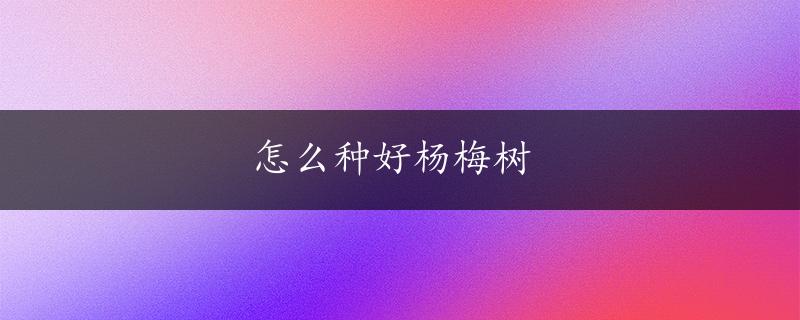 怎么种好杨梅树