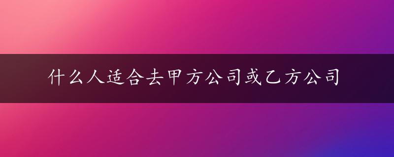 什么人适合去甲方公司或乙方公司