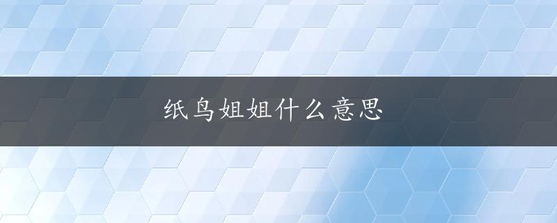 纸鸟姐姐什么意思