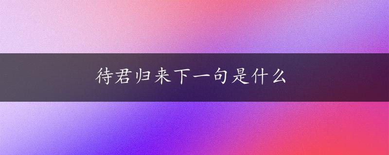 待君归来下一句是什么