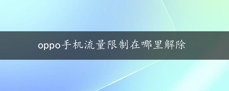 oppo手机流量限制在哪里解除