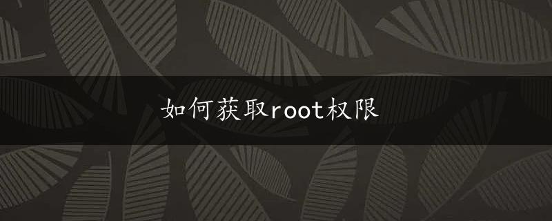 如何获取root权限