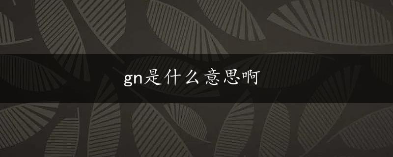 gn是什么意思啊