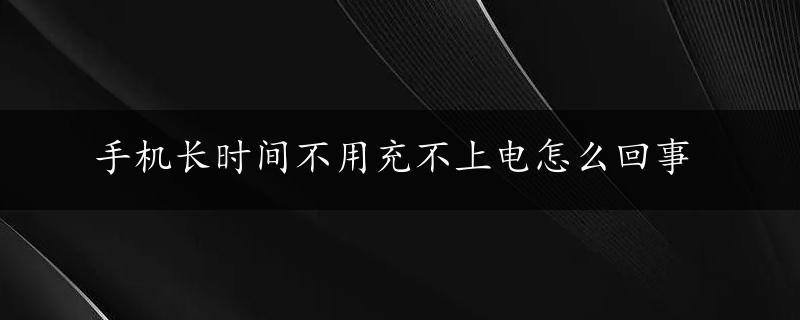 手机长时间不用充不上电怎么回事