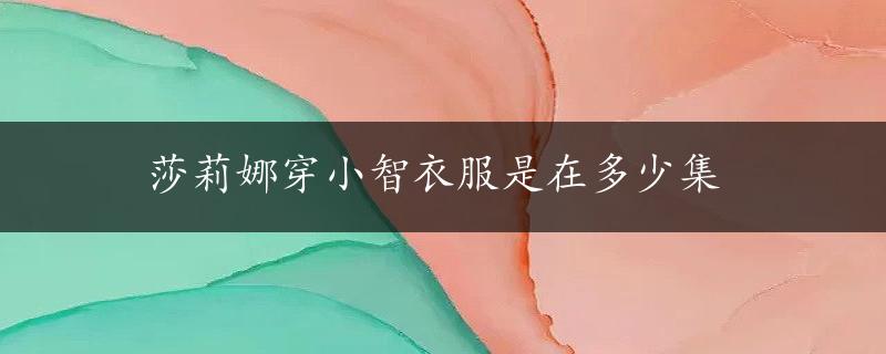 莎莉娜穿小智衣服是在多少集